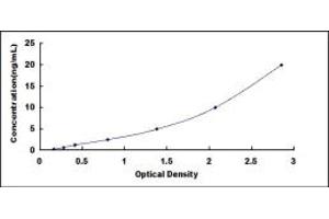 Typical standard curve (SLC1A2 ELISA Kit)