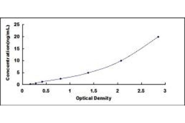 SLC1A2 ELISA Kit