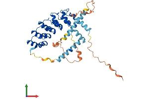 Protein Structure (PS) image for Ankyrin Repeat Domain 2 (Stretch Responsive Muscle) (ANKRD2) (AA 1-360) protein (His tag) (ABIN7552092)