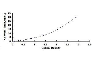 Typical standard curve (PKM2 ELISA Kit)