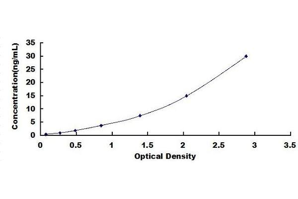 PKM2 ELISA Kit