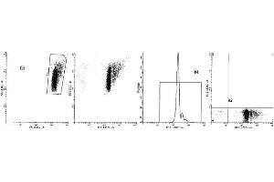 Image no. 1 for anti-Glycophorin A (GYPA) antibody (ABIN1106118) (CD235a/GYPA antibody)