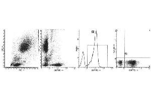 Image no. 1 for anti-CD7 (CD7) antibody (FITC) (ABIN1106542) (CD7 antibody  (FITC))