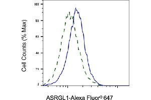Validation of ASRGL1 knockdown using flow cytometry. (ASRGL1 antibody)