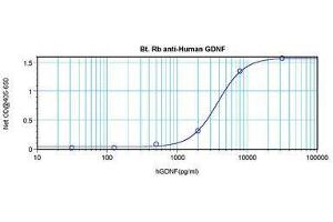Image no. 2 for anti-Glial Cell Line Derived Neurotrophic Factor (GDNF) antibody (Biotin) (ABIN465545) (GDNF antibody  (Biotin))