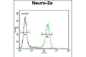 Flow cytometric analysis of Neuro-2a cells (right histogram) compared to a negative control cell (left histogram). (DDX11 antibody  (AA 656-683))