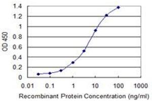 Detection limit for recombinant GST tagged XAGE2 is 0. (XAGE2 antibody  (AA 44-111))