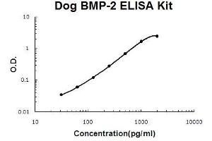 Dog BMP-2 PicoKine ELISA Kit standard curve (BMP2 ELISA Kit)