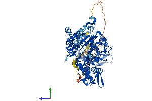 Protein Structure (PS) image for 5'-Nucleotidase, Cytosolic II (NT5C2) (AA 1-560) protein (His tag) (ABIN7557347)