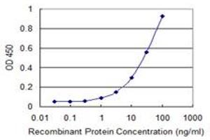 Detection limit for recombinant GST tagged STARD3 is 0. (STARD3 antibody  (AA 1-445))