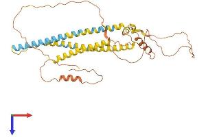 AlphaFold protein structure predicition of Human Recombinant NPIPA7 Protein, UniprotID E9PJI5 (NPIPA7 Protein (AA 1-369) (His tag))