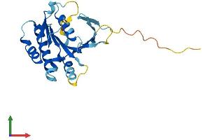 AlphaFold protein structure predicition of Human Recombinant SWSAP1 Protein, UniprotID Q6NVH7 (SWSAP1 Protein (AA 1-229) (His tag))