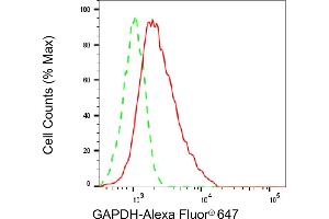 Flow cytometric analysis of GAPDH expression in HepG2 cells using GAPDH antibody (ABIN7798767), 1:2,000). (GAPDH antibody)