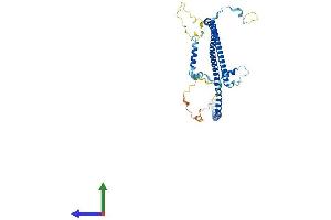 AlphaFold protein structure predicition of Mouse Recombinant Spata17 Protein, UniprotID Q9D552 (SPATA17 Protein (AA 1-379) (His tag))