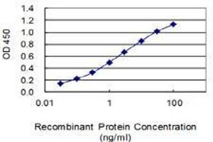 ELISA image for anti-Src Homology 2 Domain Containing Adaptor Protein B (SHB) (AA 348-446) antibody (ABIN2565895)