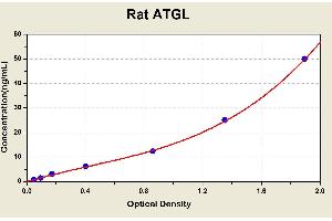 Diagramm of the ELISA kit to detect Rat ATGLwith the optical density on the x-axis and the concentration on the y-axis. (PNPLA2 ELISA Kit)