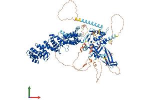 AlphaFold protein structure predicition of Human Recombinant USP38 Protein, UniprotID Q8NB14 (USP38 Protein (AA 1-1042) (His tag))