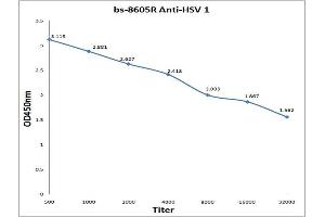 Antigen: 0. (Herpes Simplex Virus Type 1 (HSV1) antibody)