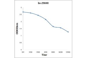 Phospholamban antibody  (pSer16)