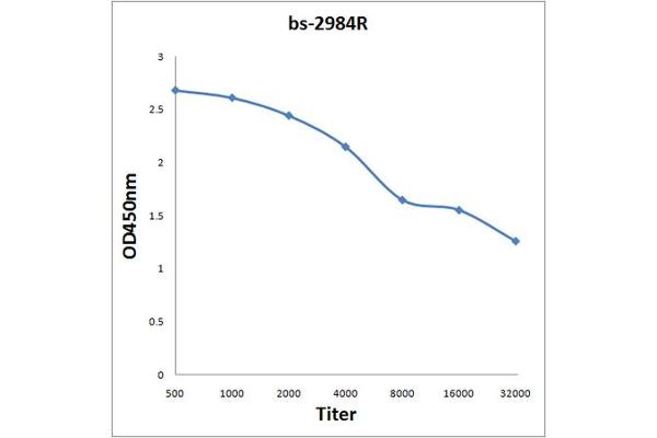 Phospholamban antibody  (pSer16)