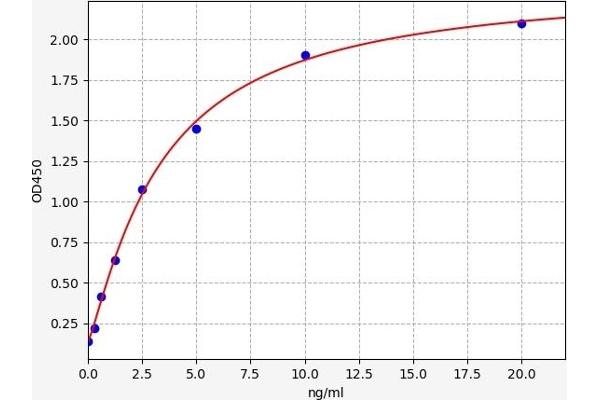 AXIN2 ELISA Kit