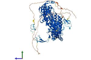 AlphaFold protein structure predicition of Human Recombinant TOP3A Protein, UniprotID Q13472 (TOP3A Protein (AA 1-1001) (His tag))