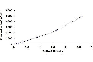 Typical standard curve (IGF1 ELISA Kit)