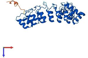 ASB13 Protein (AA 1-278) (His tag)
