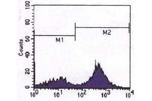 Flow Cytometry (FACS) image for anti-CD247 Molecule (CD247) antibody (ABIN1106132) (CD247 antibody)