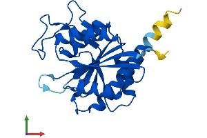 Protein Structure (PS) image for Pyroglutamyl-Peptidase I (PGPEP1) (AA 1-209) protein (His tag) (ABIN7550709)