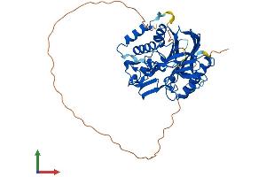 AlphaFold protein structure predicition of Mouse Recombinant Noct Protein, UniprotID O35710 (CCRN4L Protein (AA 1-429) (His tag))