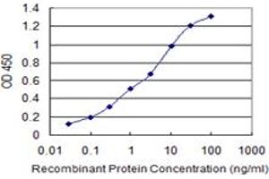 Detection limit for recombinant GST tagged ATP2A1 is 0. (ATP2A1/SERCA1 antibody  (AA 522-612))