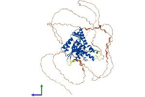 AlphaFold protein structure predicition of Human Recombinant EYA4 Protein, UniprotID O95677