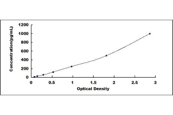 TNFRSF10B ELISA Kit