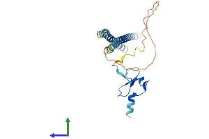 Protein Structure (PS) image for Inhibitor of Growth Family, Member 5 (ING5) (AA 1-240) protein (His tag) (ABIN7561145)