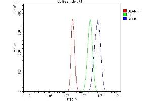 Flow Cytometry analysis of HepG2 cells using anti-Sulfite oxidase/SUOX antibody (ABIN7600212). (SUOX antibody  (AA 163-434))