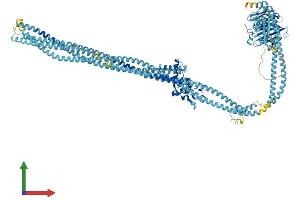 AlphaFold protein structure predicition of Human Recombinant SMC3 Protein, UniprotID Q9UQE7
