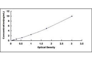 Typical standard curve (Hexokinase 2 ELISA Kit)