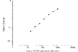 Typical standard curve (PKM ELISA Kit)