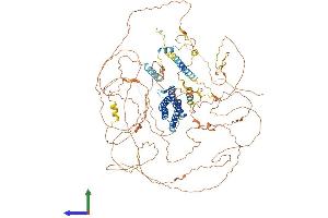 AlphaFold protein structure predicition of Human Recombinant DLGAP4 Protein, UniprotID Q9Y2H0 (DLGAP4 Protein (AA 1-992) (His tag))