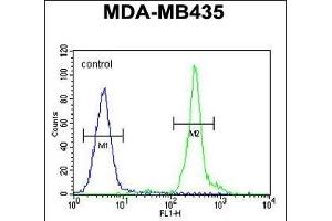 GFRAL Antibody (C-term) ABIN655021 flow cytometric analysis of MDA-M cells (right histogram) compared to a negative control (Rabbit IgG isotype) (left histogram). (GFRAL antibody  (C-Term))