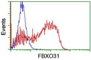 HEK293T cells transfected with either RC203518 overexpress plasmid (Red) or empty vector control plasmid (Blue) were immunostained by anti-FBXO31 antibody (ABIN2455366), and then analyzed by flow cytometry. (FBXO31 antibody)