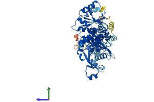 AlphaFold protein structure predicition of Human Recombinant ASPG Protein, UniprotID Q86U10 (Asparaginase Protein (AA 1-573) (His tag))