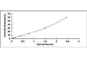 Typical standard curve (TIMP2 ELISA Kit)