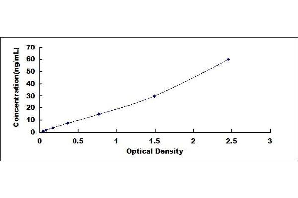 TIMP2 ELISA Kit