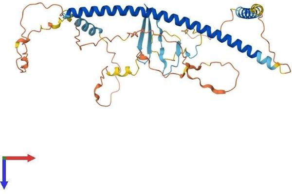 Multicilin Protein (AA 1-385) (His tag)