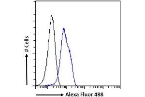 (ABIN334488) Flow cytometric analysis of paraformaldehyde fixed U2OS cells (blue line), permeabilized with 0. (SENP6 antibody  (Internal Region))