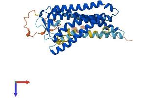 AlphaFold protein structure predicition of Human Recombinant OR5AU1 Protein, UniprotID Q8NGC0 (OR5AU1 Protein (AA 1-362) (His tag))