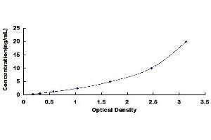 Typical standard curve