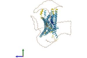 AlphaFold protein structure predicition of Mouse Recombinant Tmc2 Protein, UniprotID Q8R4P4 (Tmc2 Protein (AA 1-888) (His tag))